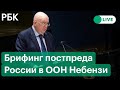 Брифинг представителя России в ООН Василия Небензи на фоне военной спецоперации на Украине