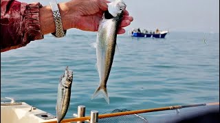 Рыбалка в Сочи, на Чёрном море