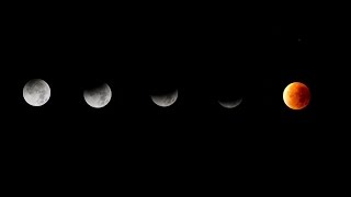 Total Lunar Eclipse Timelapse (Blood Moon)