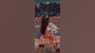 ع ريحة زهر الخدين 