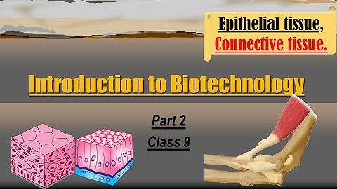 Types of EPITHELIAL TISSUES & CONNECTIVE TISSUE. #Lesson- Introduction to Biotechnology. (Class 9)