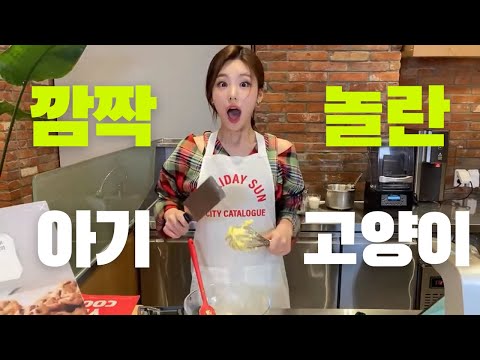 [ITZY] 깜짝 놀란 고양이 예지