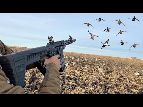 INSANE AR-12 Shotgun Duck Hunting! (ALL DRAKE MIXED BAG)