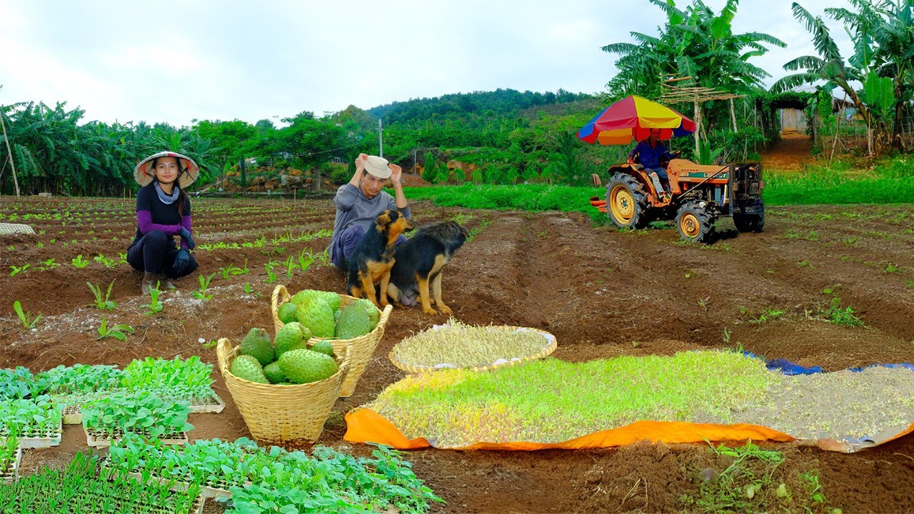 Reclaim 1000m² Of Abandoned Land To Grow 30 Types Of Vegetables - Harvest Vegetables To  Sell