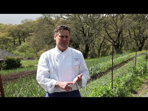 Spring in the garden: an update from Executive Che...