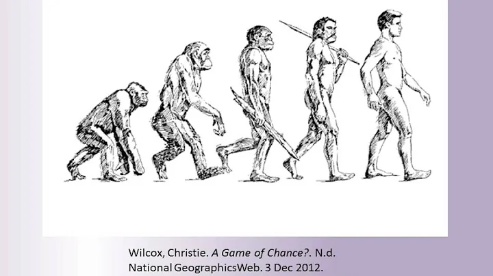 ABE 170 Michael Lambard Evolution of Primates