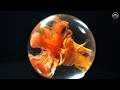 Resin art sphere. Alcohol ink in resin. Epoxy resin. 3D RESIN Art. DIY