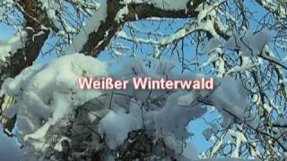 WEISSER WINTERWALD - Marion Willmanns - TOP Weihnachtslied für groß und klein! chords