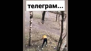 #телеграм #tiktok #youtubeshorts