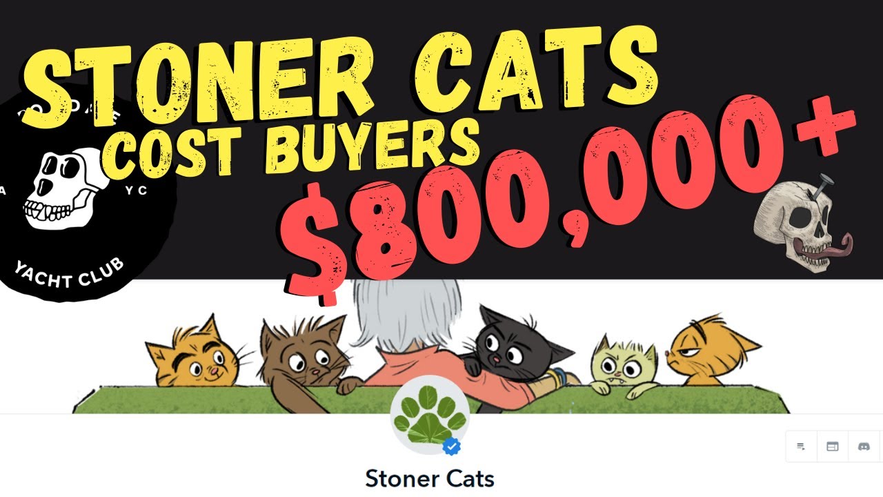 How Stoner Cats LOST Buyers $800,000 USD and NFT Profile Pictures
