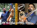 Puppy's Morning Workout with Guilty DOG Face  | പന്ത് പൊട്ടിച്ച പപ്പിയും വാളും