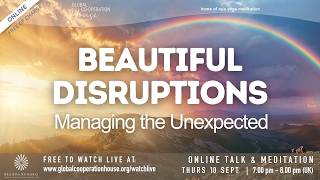 Beautiful Disruptions: Managing the Unexpected | Luciana Ferraz
