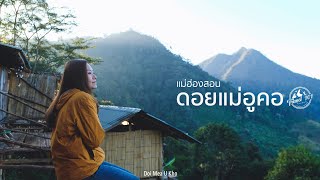 เที่ยวดอยแม่อูคอ ชมทุ่งดอกบัวตอง นอนโฮมสเตย์ปกาเกอะญอ แม่ฮ่องสอน | EP.67 Doi Mae U Kho