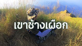 Wild Find EP.3 #เขาช้างเผือก (ร้อน)จองยากกว่าเดิน #pov