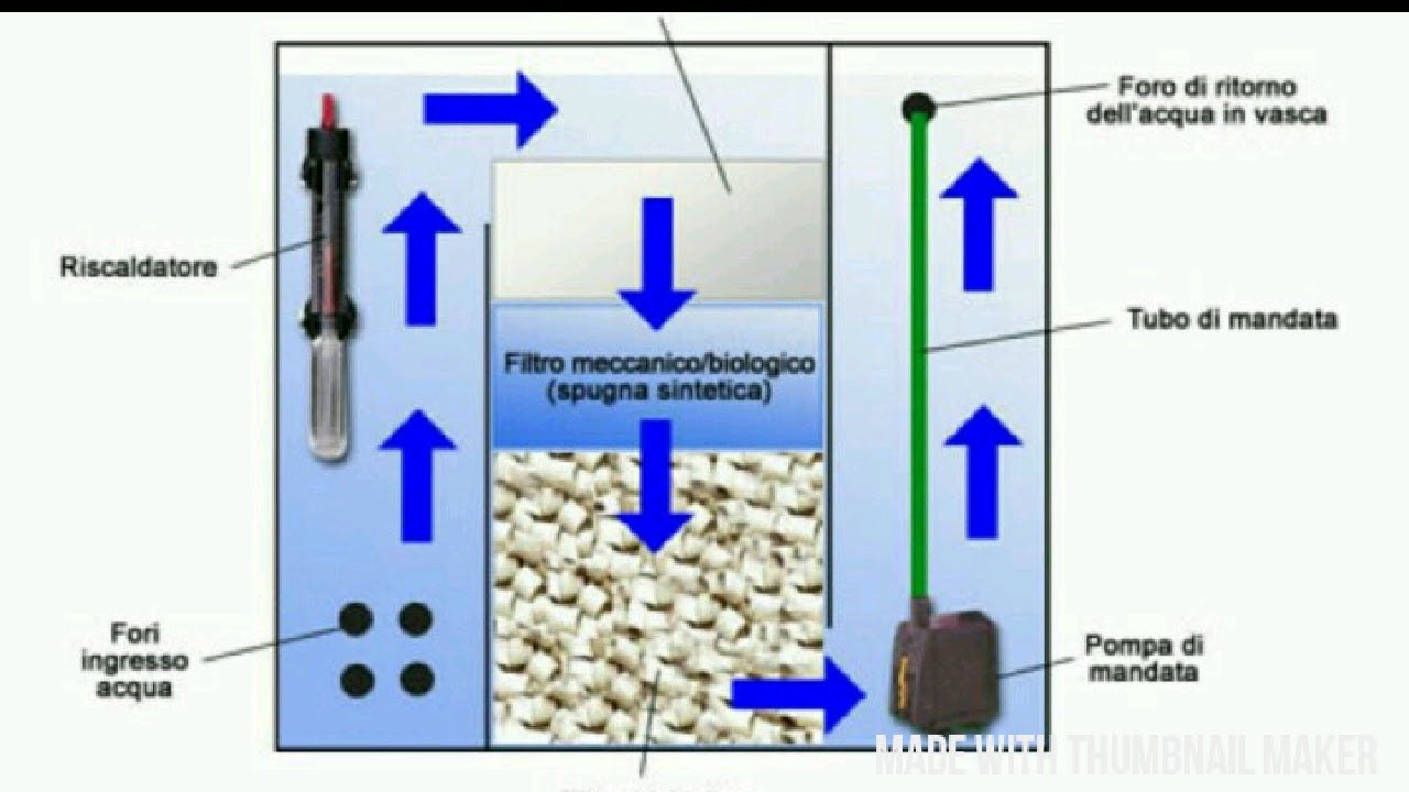 Come Creare Un Filtro Per Acquario
