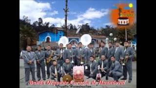 No Llama - Banda Orquesta Corazon de Huandoval