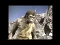 The Ray Harryhausen Creature Compilation