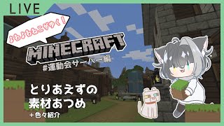【Mincraft】運動会サーバーで素材集め件配信テスト【Vtuber】