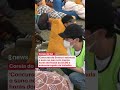 Coreia do Sul tem 'Concurso de Soneca' para estimular o sono em um país sobrecarregado de trabalho