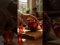 Master of Fruit Cutting! 🍓 #Art #CreativeAmazing Fruit Cutting Skills! 🍎✨#lifeisbutadream #asmr