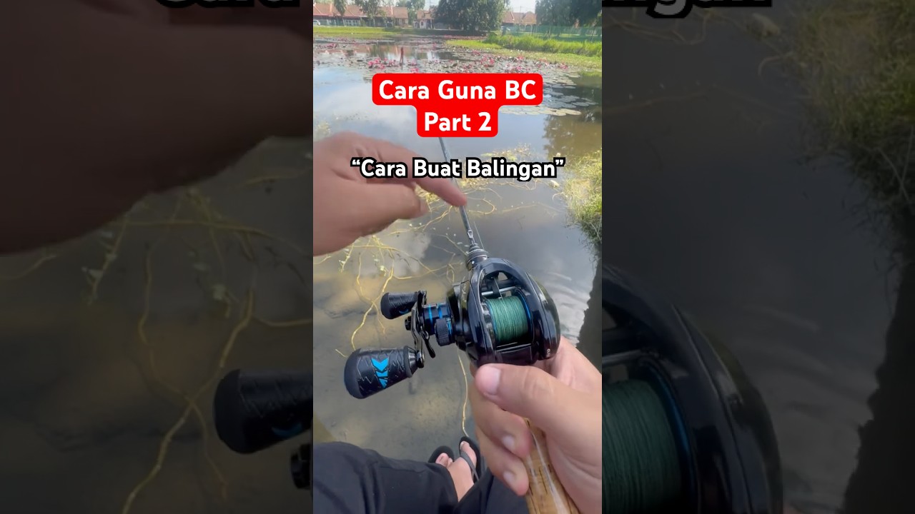 Guarda Cara guna BaitCasting atau Bc | Part 2 episod 1 (cara buat balingan bc) su YouTube Guarda Cara guna BaitCasting atau Bc | Part 2 episod 1 (cara buat balingan bc) su YouTube