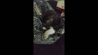 Lol Unique way to sleep