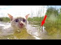 Девочка нашла в реке котёнка, но что-то его тянуло в воду, когда она присмотрелась-ОБОМЛЕЛА