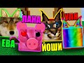 ЧЕЙ ШЛЁПА САМЫЙ КРУТОЙ? Roblox Find The Floppa Morphs