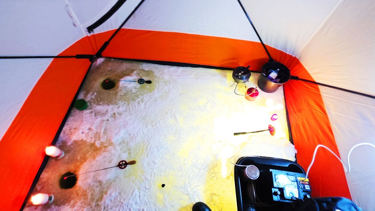 Buļļuciems - Lielupe salaku jeb stinšu COPE 2026... Stinstes IR DAUDZ!!!