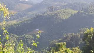 Lub Neej Nyob Toj Siab