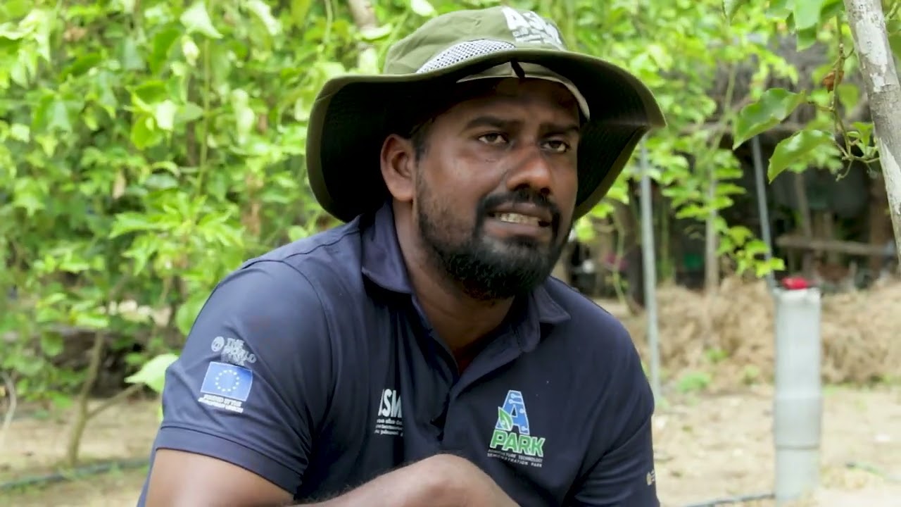 Passion Fruit Cultivation