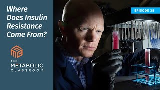 Where Does Insulin Resistance Come From? with Dr. Ben Bikman