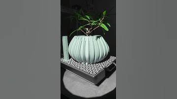 3D PRINTED PLANTER TIMELAPSE #3dprinting #3dprint #timelaspe