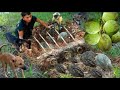 Survival in the rainforest - Man with monkey and dog found quails for cook - Eating delicious