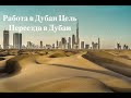 Работа в Дубае | Цель Переезда | Job in Dubai Purpose of Moving to Dubai