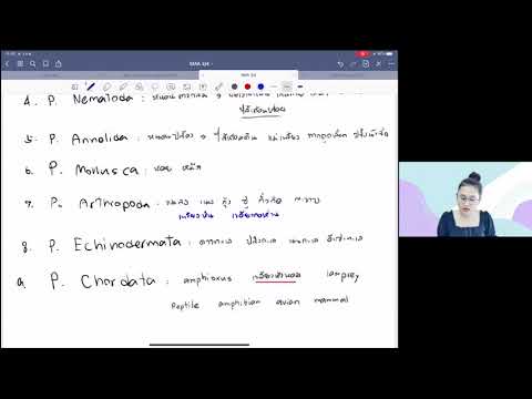 สรุป ระบบย่อยอาหาร 1 | เนื้อหาที่เกี่ยวข้องความ หมาย ของ ระบบ ย่อย อาหารที่มีรายละเอียดมากที่สุดทั้งหมด