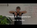 Glands  frequencies learn integral anatomy with gil hedley