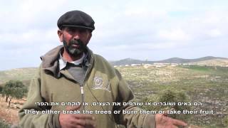 Download Lagu Hussein Said, Al-Mughayer | The Road to Dispossession | Yesh Din MP3