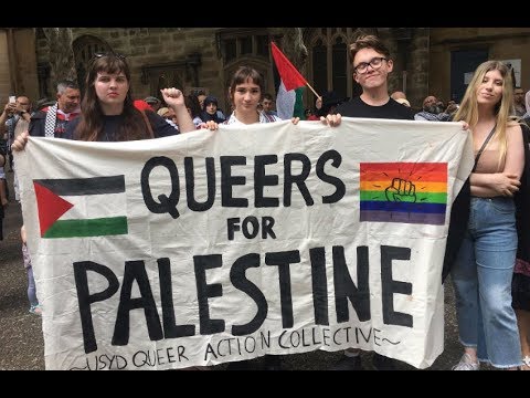 Palestinians: What do you think of "Queers for Palestine"?