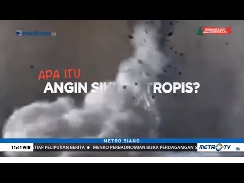 Video: Siklon Tropis Mengubah Pola Aktivitas Jangka Pendek Burung Pantai