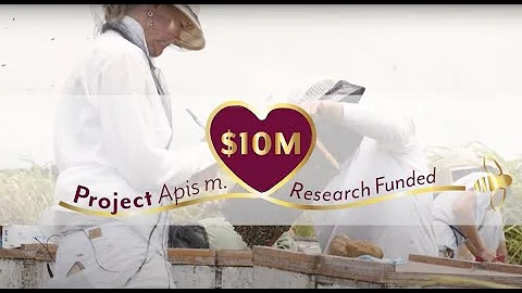 Project Apis m. - $10 Million in Honey Bee Research Funded