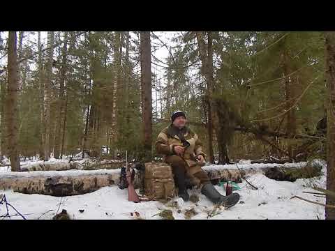 Видео: Эх охота  Зимний день в лесу
