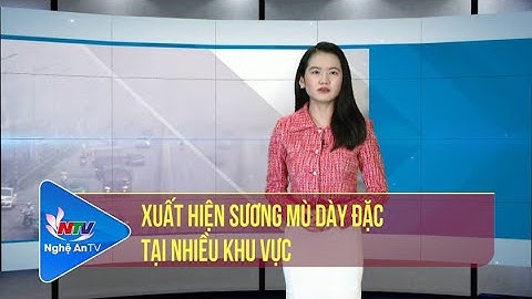 Xuất hiện sương mù dày đặc tại nhiều khu vực | Bản tin Dự báo thời tiết đêm 06/02, ngày 07/02/2023