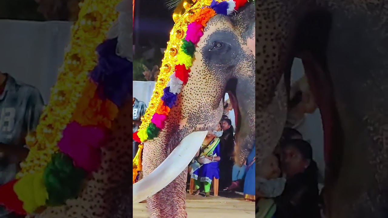 കൊരട്ടിൽ ശ്രീഭദ്രകാളി ക്ഷേത്രം ഉത്സവം