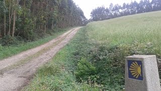 Camino del Norte, 28: Ribadeo a Vilanova de Lourenzá. Camino de Santiago.
