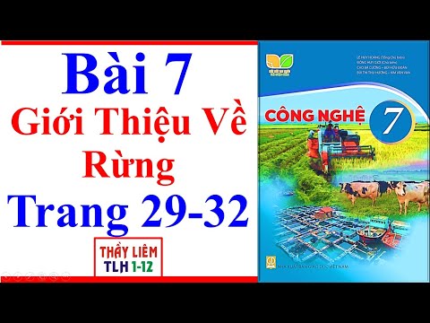 Video Công Nghệ 7 Bài 7 | Giới Thiệu Về Rừng | Trang 29 - 32... - youtube