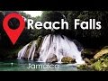 Reach Falls | River Hiking | Mandingo Cave | Jamaica