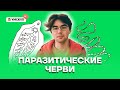 Паразитические черви | Биология ОГЭ 2022 | Умскул