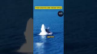 Турция впервые успешно запустила тяжёлую торпеду AKYA с подлодки