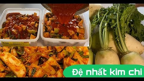 Cách làm kim chi củ cải Hàn Quốc cực ngon .đơn giản tại nhà .vlog 160